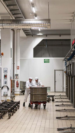 داخل مصنع Hero، هذان الرجلان يعملان تحت إضاءة صناعة الأغذية من Philips
