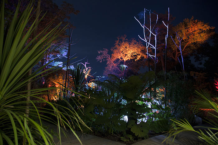 Trees illuminated by Citeos with Philips colourful lighting at International Garden festival, France